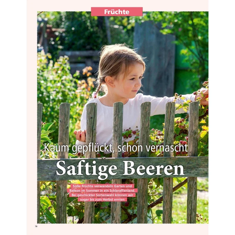 Zeitschrift Mein schöner Garten Spezial 'Küchengarten' 01/26