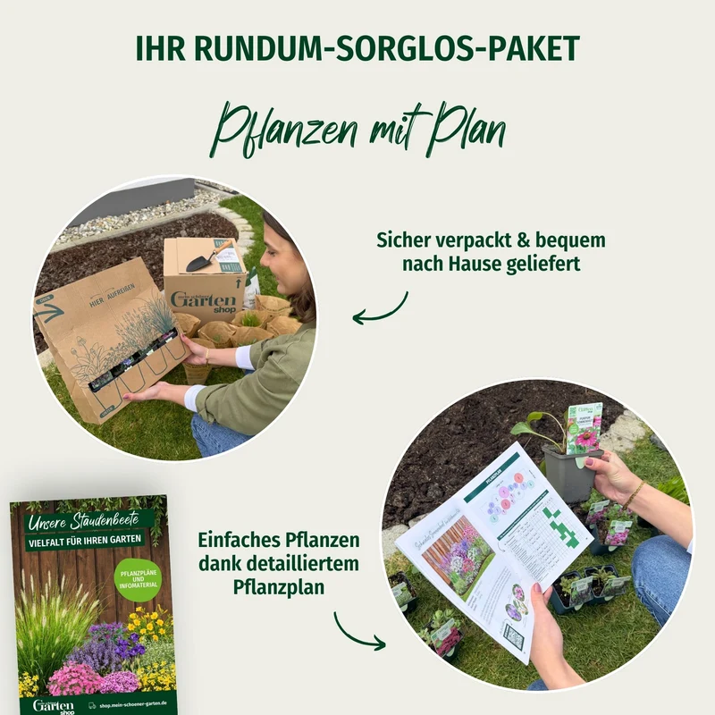 Staudenbeet "Endlose Blütenfreude"
