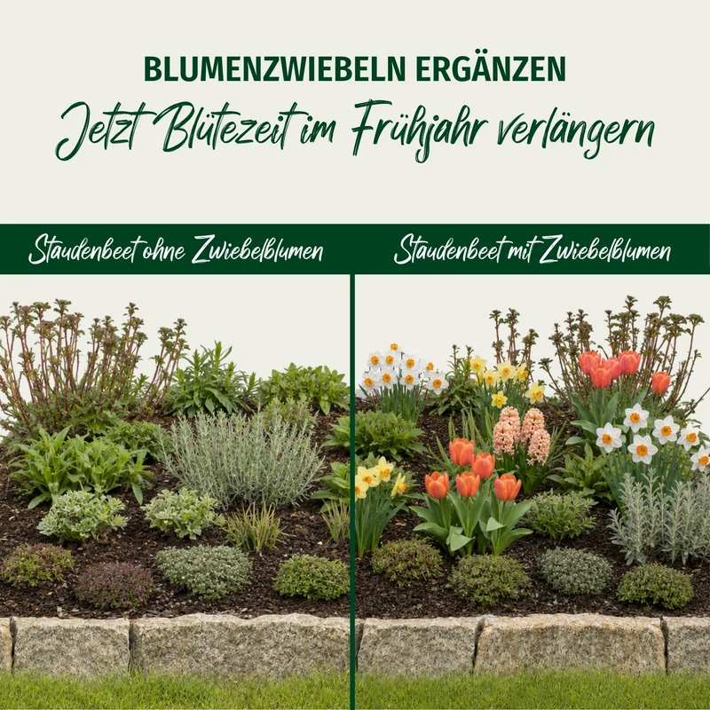 Staudenbeet "Endlose Blütenfreude"