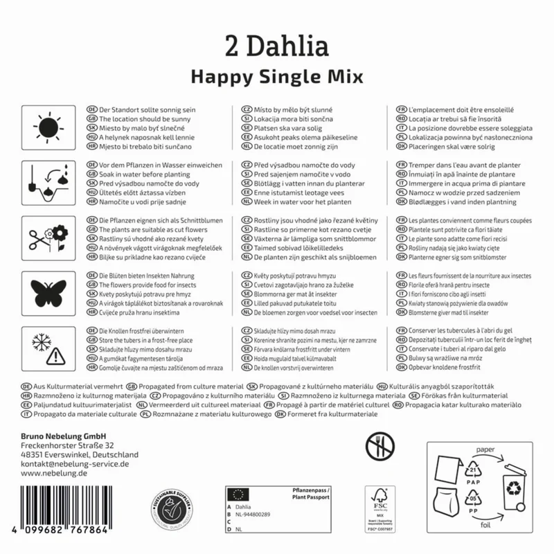 Kiepenkerl Dunkellaubige Dahlien "Happy Single Mix", Mega-Pack
