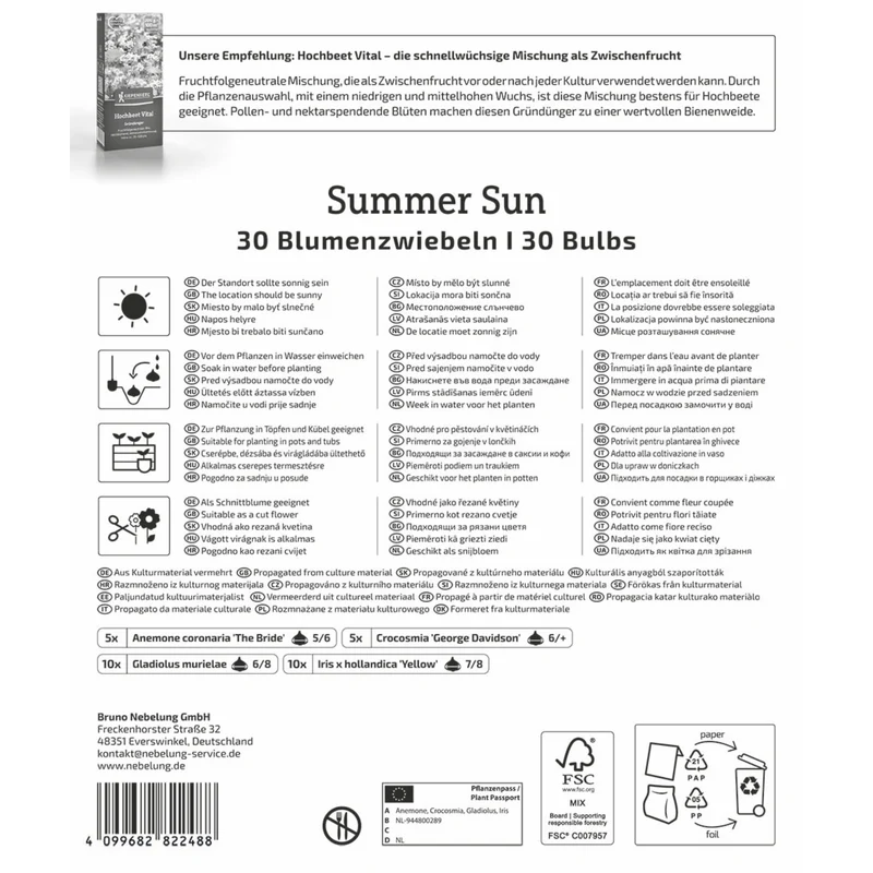Kiepenkerl Blumenzwiebelmischung "Summer Sun", Mega-Pack