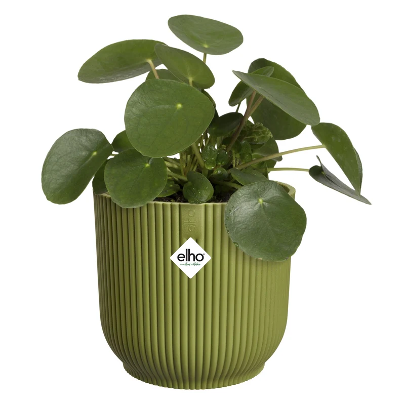 Elho Blumentopf Vibes fold rund ferngrün