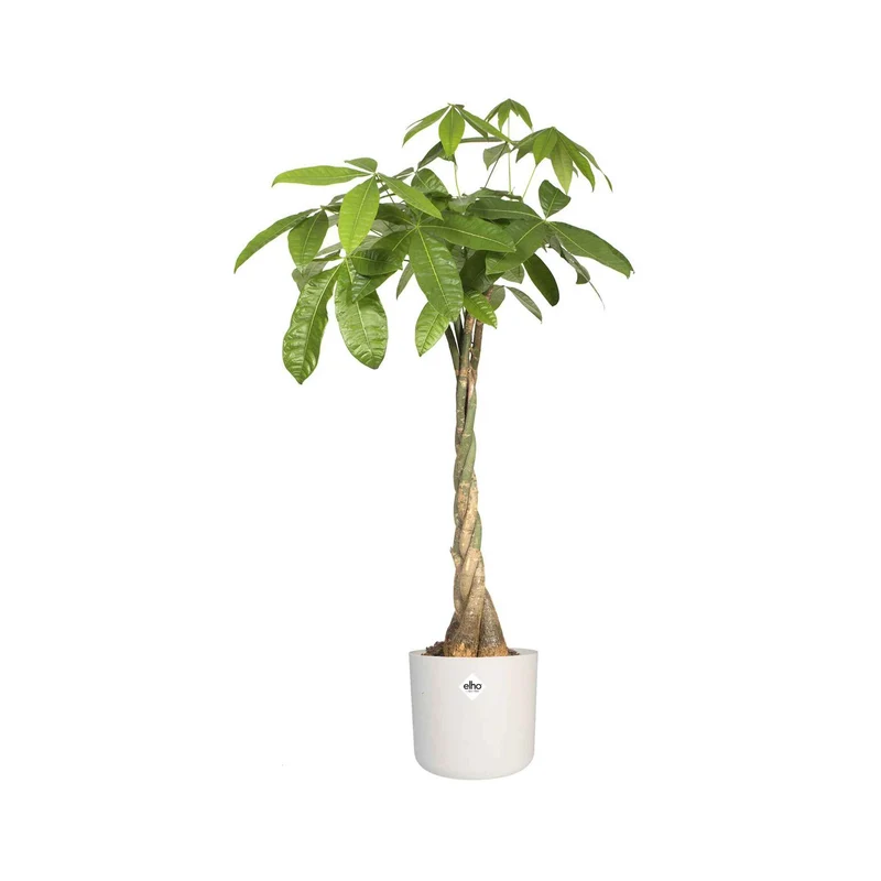 Elho Blumentopf B.for soft rund weiß
