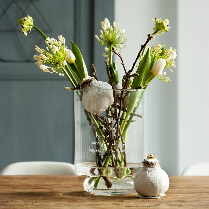 Wachs Amaryllis Magic White