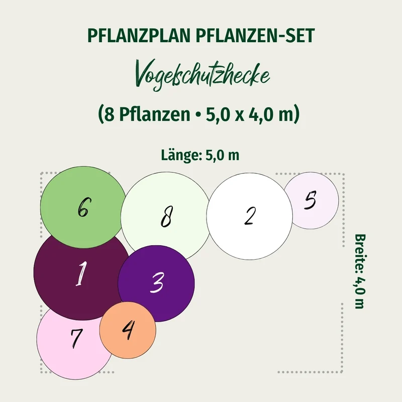 Pflanzen-Set "Vogelschutzhecke"