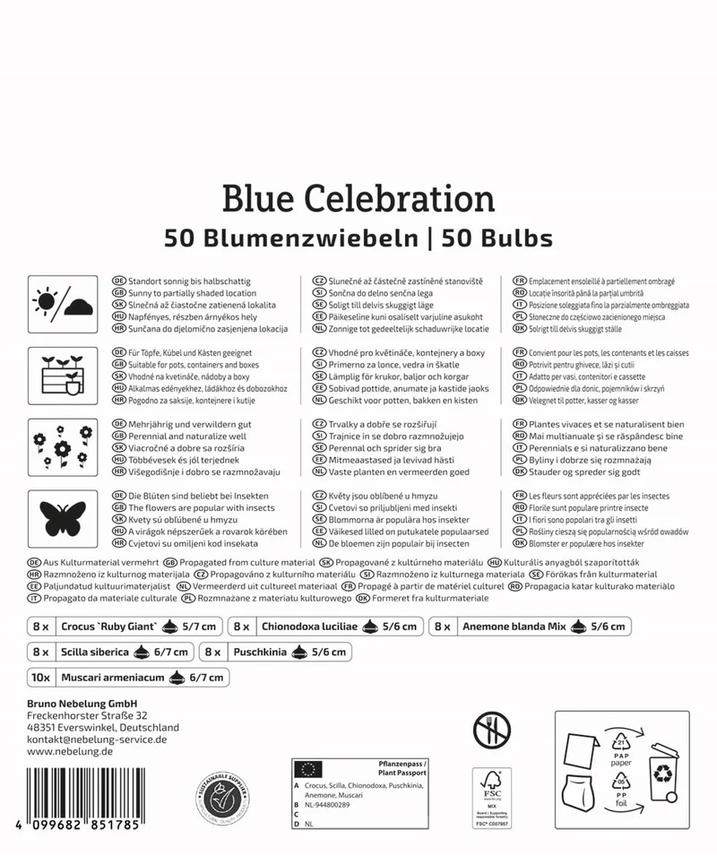 Kiepenkerl Blumenzwiebelmischung "Blue Celebration", Mega-Pack