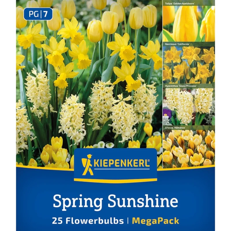 Kiepenkerl Blumenzwiebelmischung "Spring Sunshine", Mega-Pack