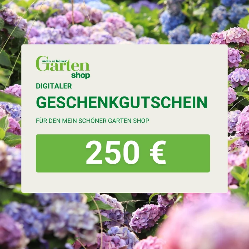 Mein schöner Garten Shop-Gutschein