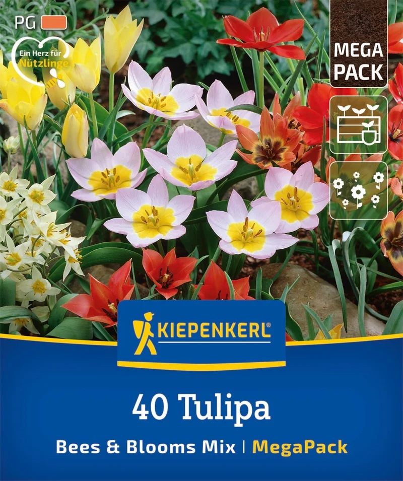 Kiepenkerl Blumenzwiebelmischung "Bees & Blooms", Mega-Pack