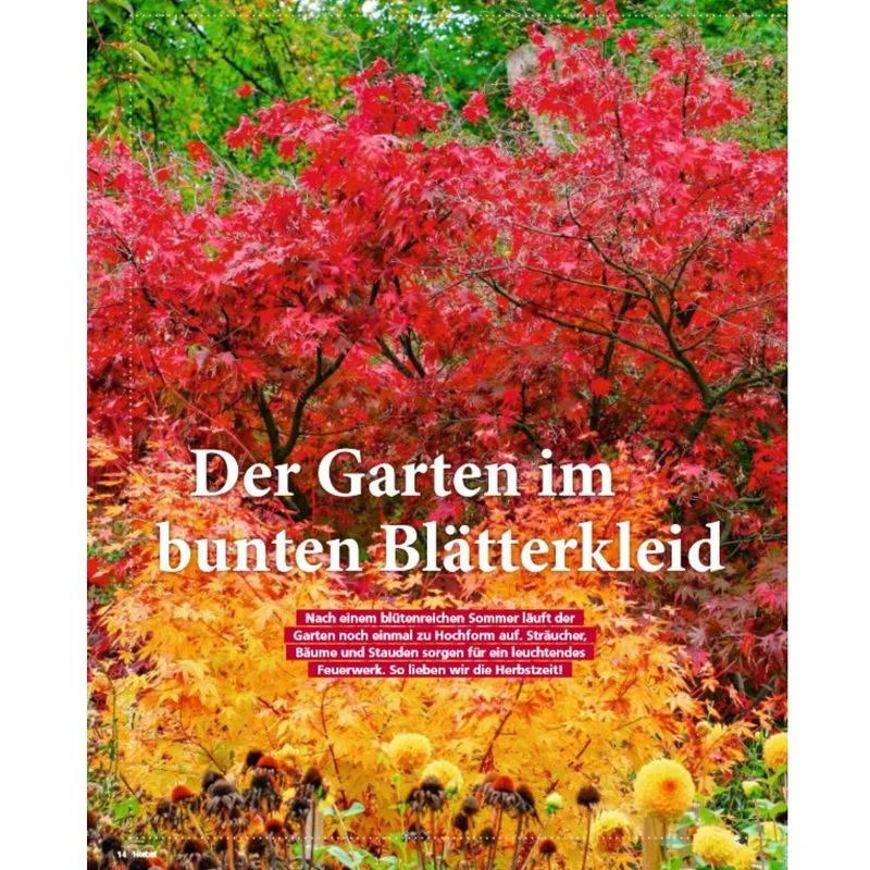Zeitschrift Mein schöner Garten Spezial 'Herbstideen' 04/25