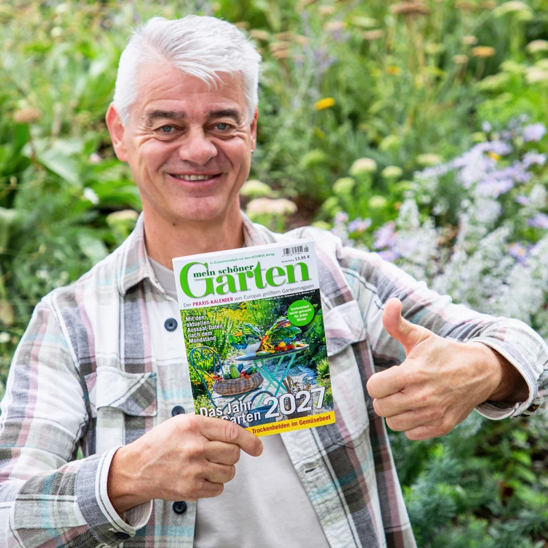 Mein schöner Garten Praxis-Kalender 2027