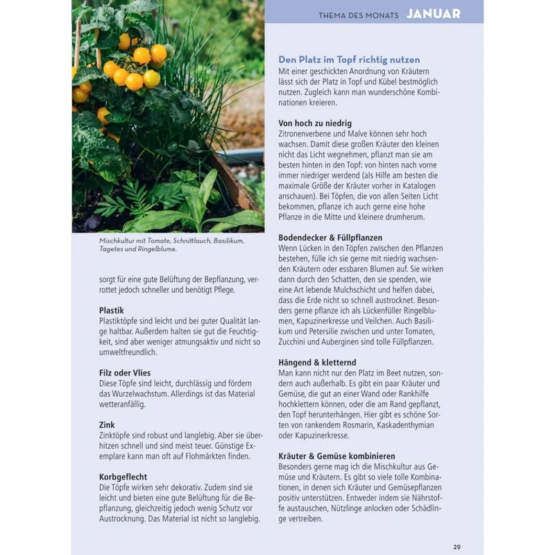 Mein schöner Garten Praxis-Kalender 2027