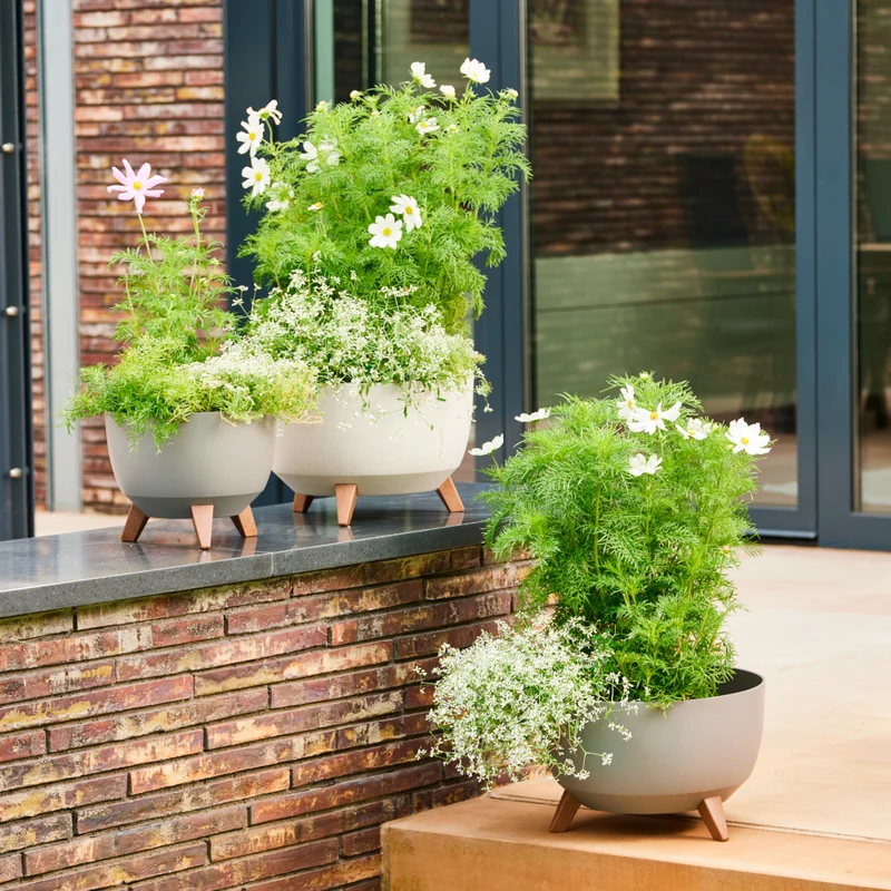 SIENA GARDEN Pflanzgefäß 'Oslo'