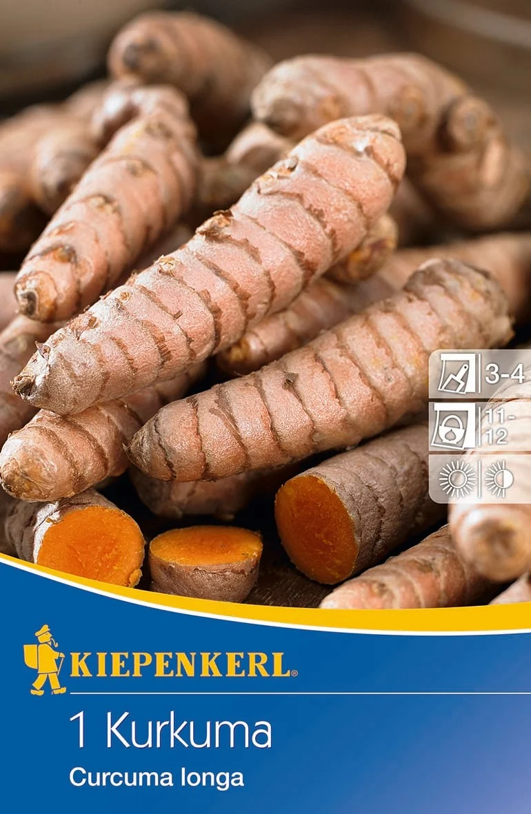 Kiepenkerl Samen-Set "Aromatische Wurzelgewächse"