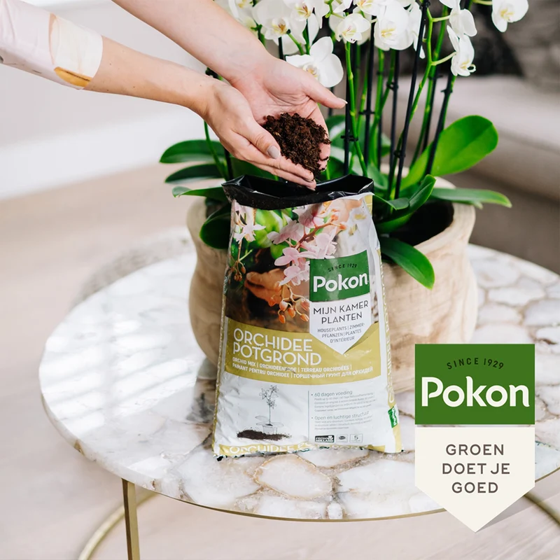 Pokon Orchideenerde