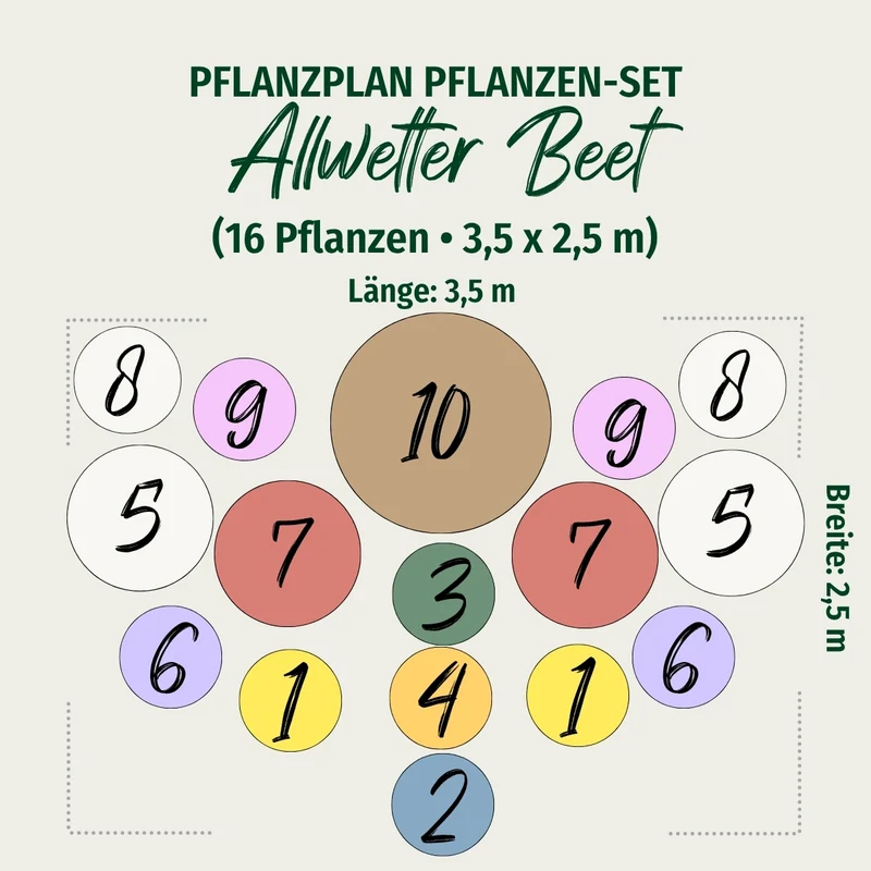 Staudenbeet "Allwetter-Beet"