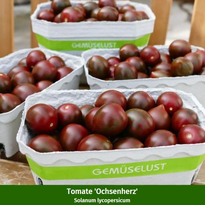 Gemüse-Set "Snackvielfalt"