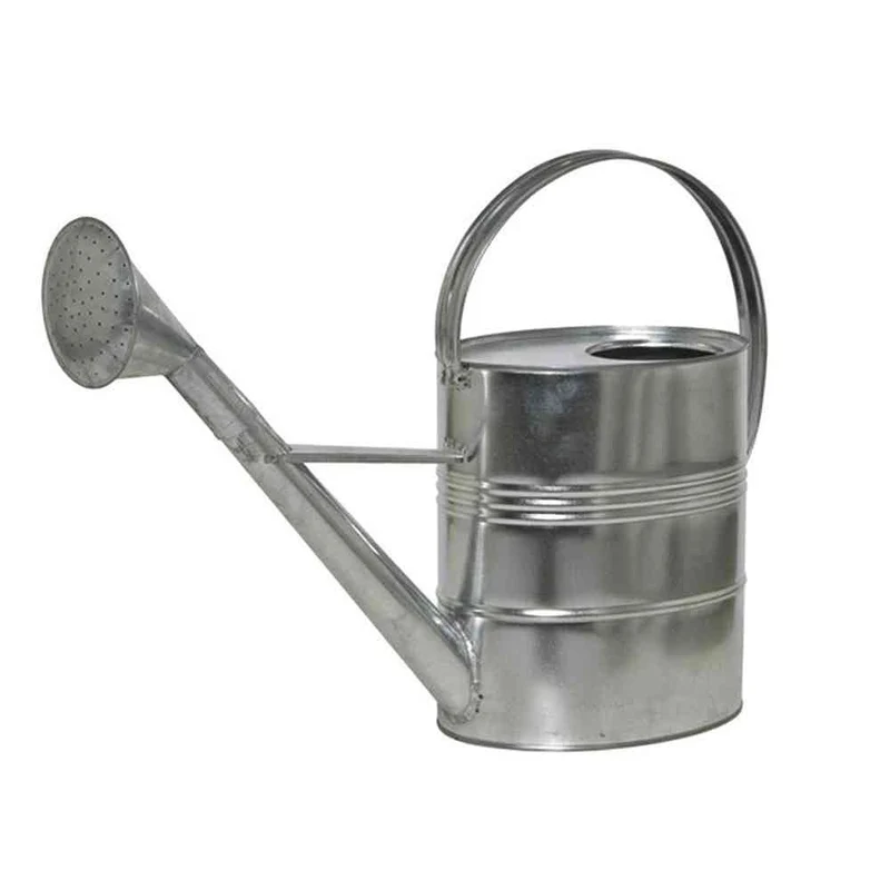 SIENA GARDEN Gießkanne, 10 L