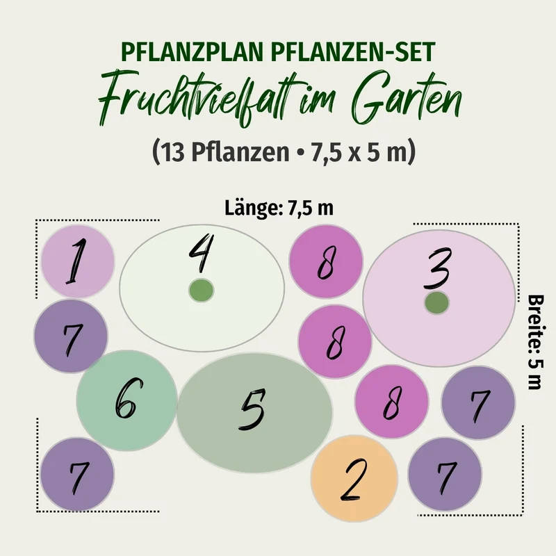 Pflanzen-Set “Fruchtvielfalt im Garten“