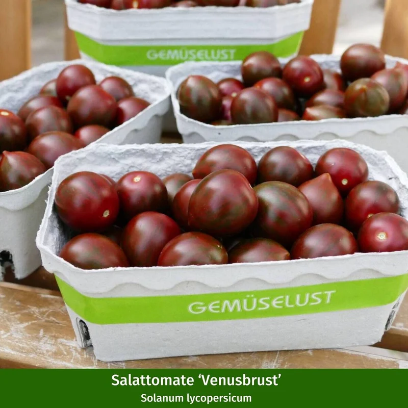 Gemüse-Set "Bunte Tomaten-Mischung"