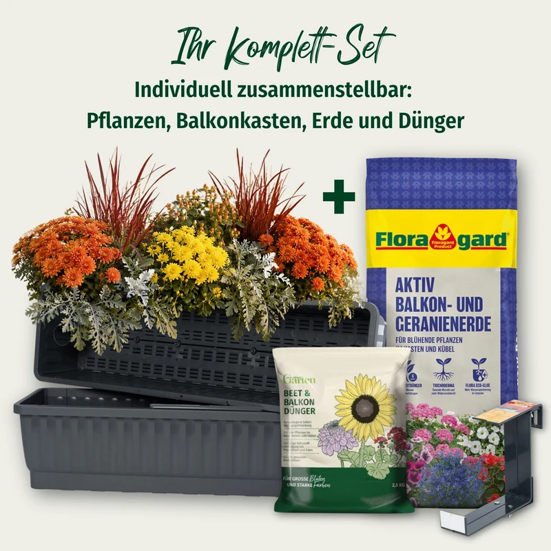 Balkonblumen "Herbstliches Farbenspiel"