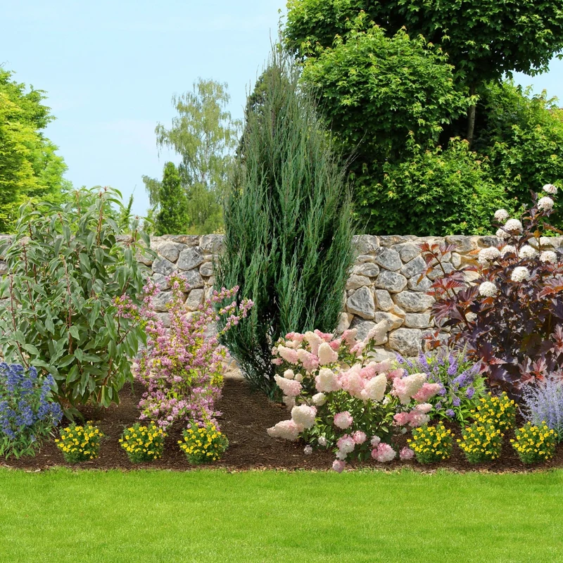 Pflanzen-Set "Mediterraner Garten"