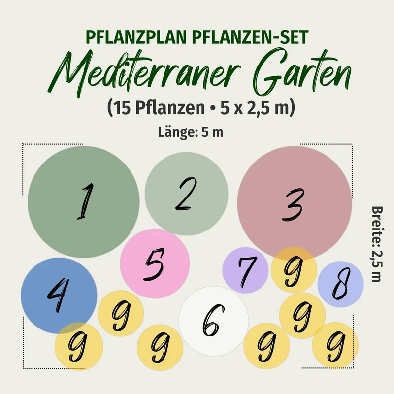 Pflanzen-Set "Mediterraner Garten"