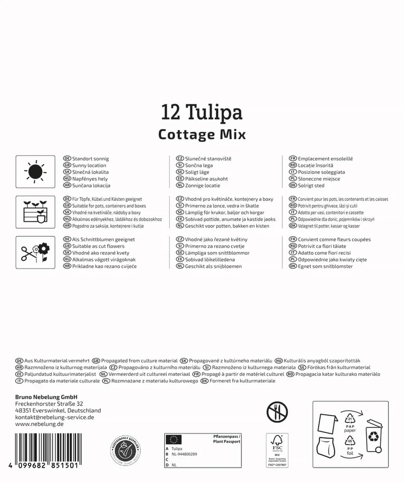 Kiepenkerl Späte Tulpen Mischung, Mega-Pack