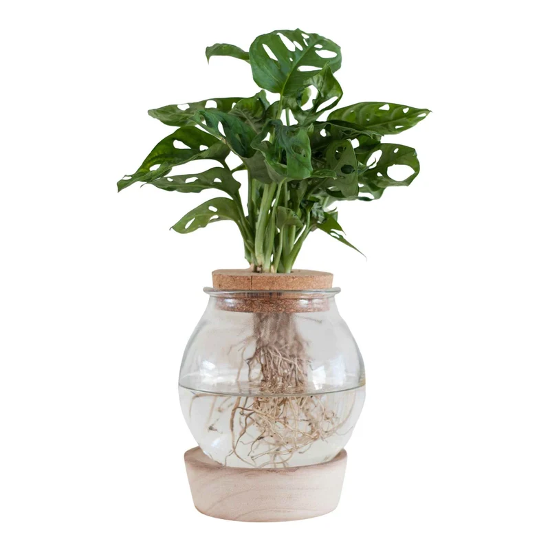 Vase mit beleuchtetem Holzständer