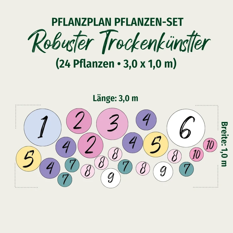 Staudenbeet "Robuster Trockenkünstler"