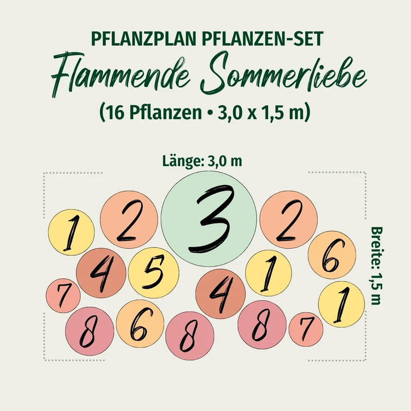 Staudenbeet "Flammende Sommerliebe"