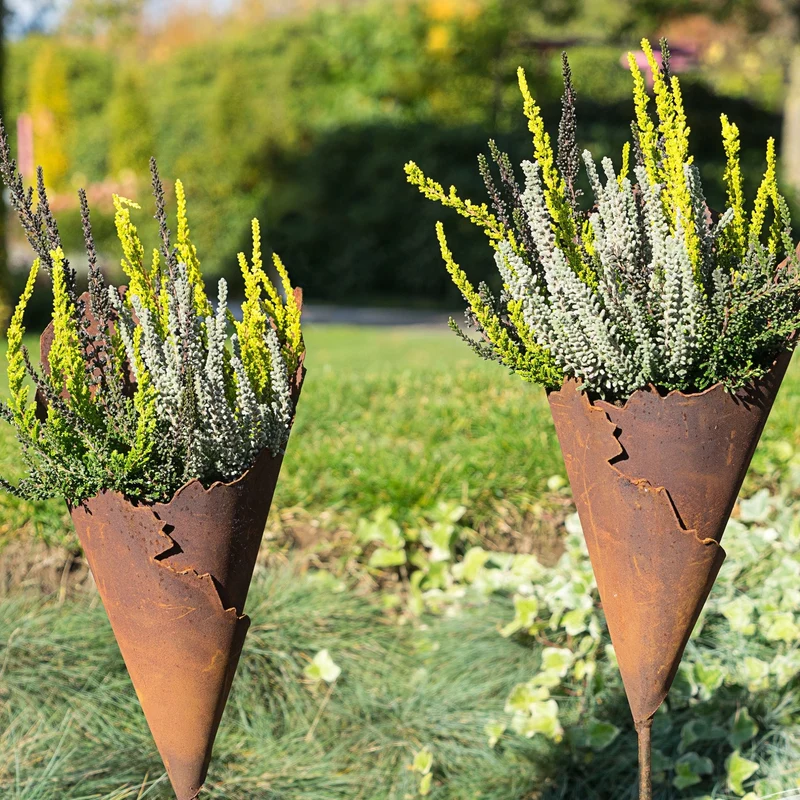 Besenheide 'Sunset Fire Gardengirls®'