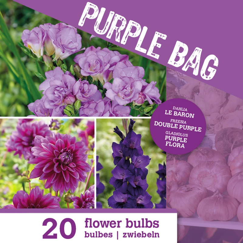 Blumenzwiebel Mischung 'The Purple Bag' (x20)