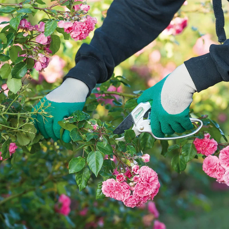 Rosengarten-Handschuhe grün-grau