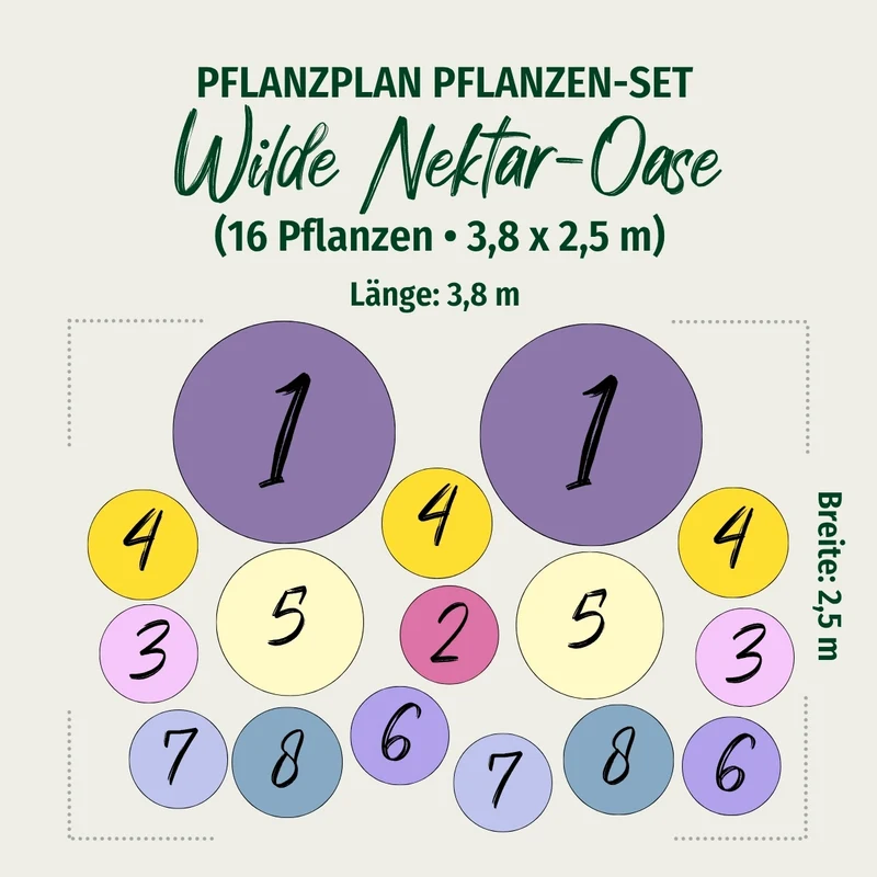 Staudenbeet "Wilde Nektar-Oase"