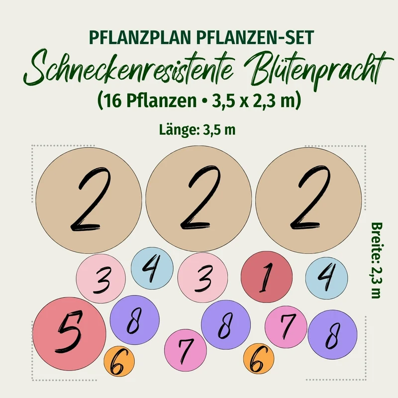 Staudenbeet "Schneckenresistente Blütenpracht"