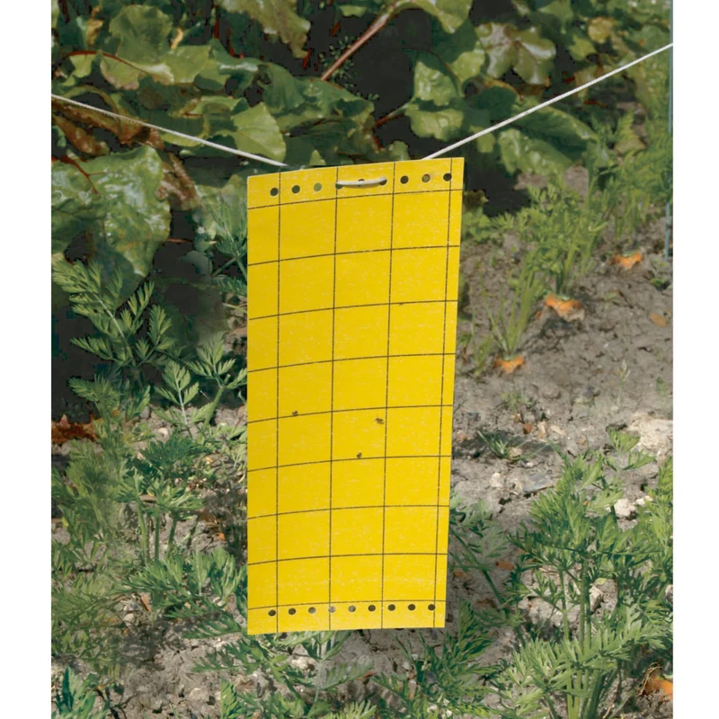 Englutierte Insektenfallen (x5)
