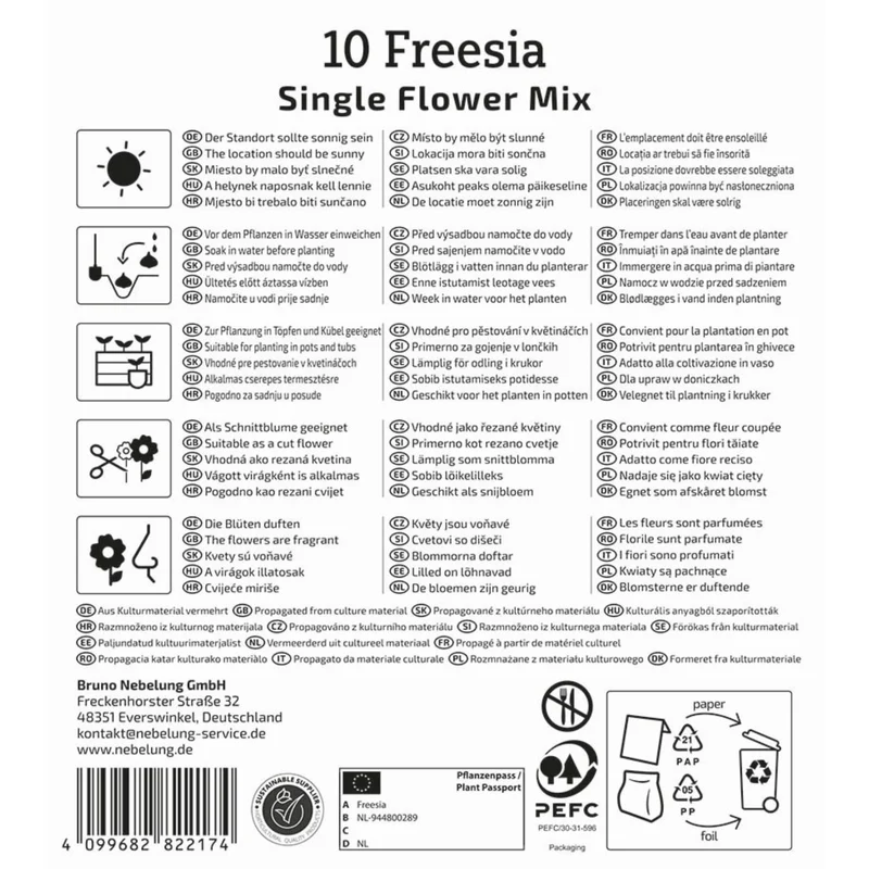 Kiepenkerl Freesien Mischung