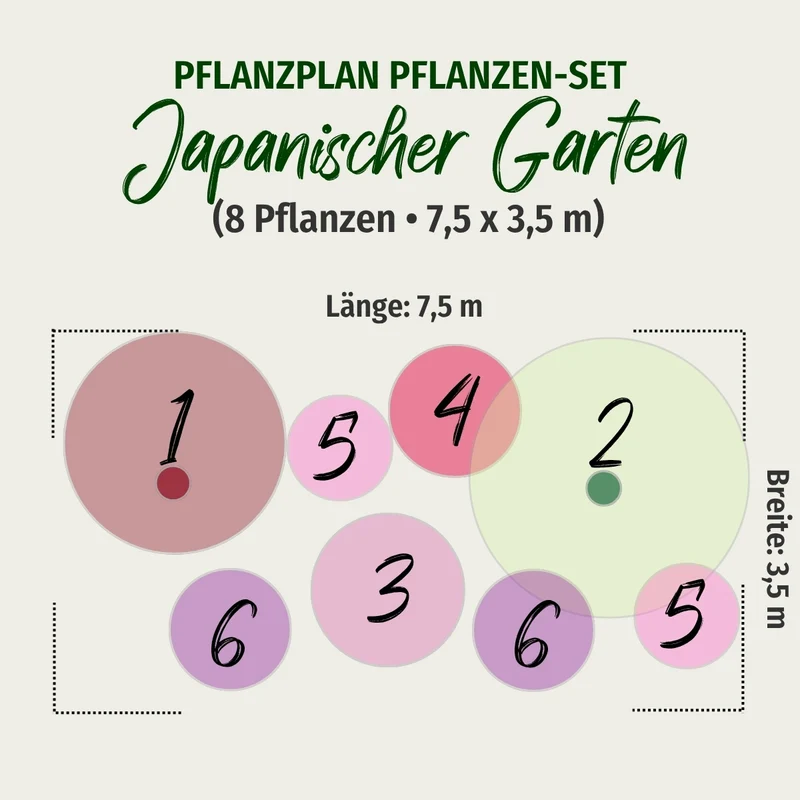 Pflanzen-Set "Japanischer Garten", 8 Pflanzen