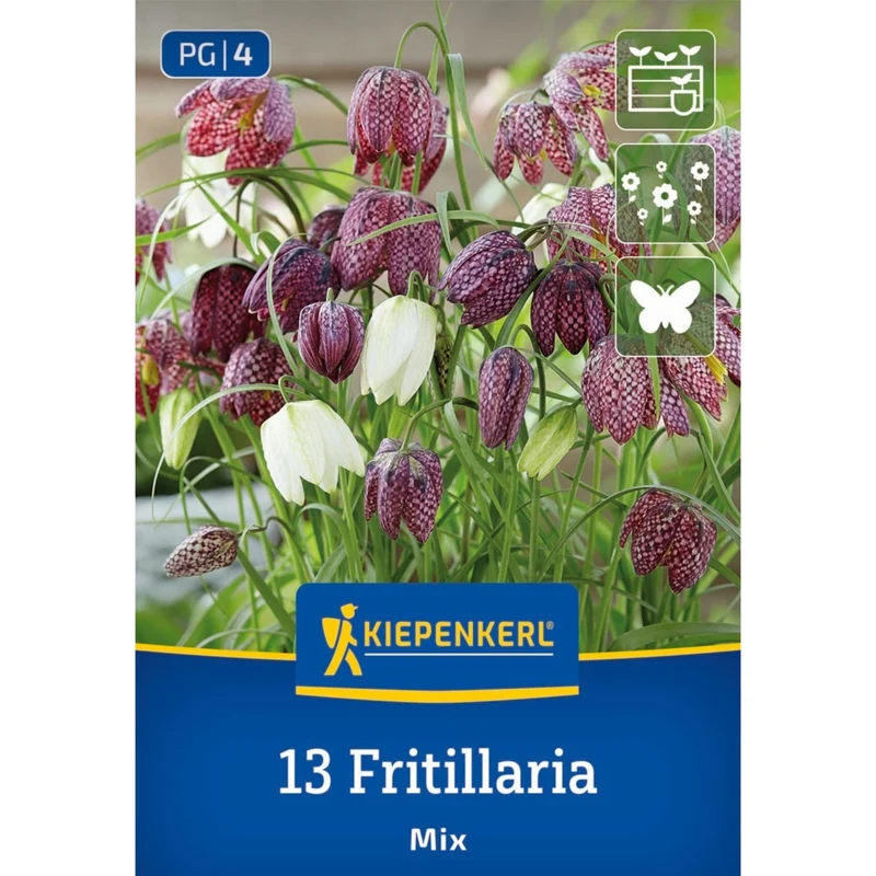 Kiepenkerl Schachbrettblume Mischung