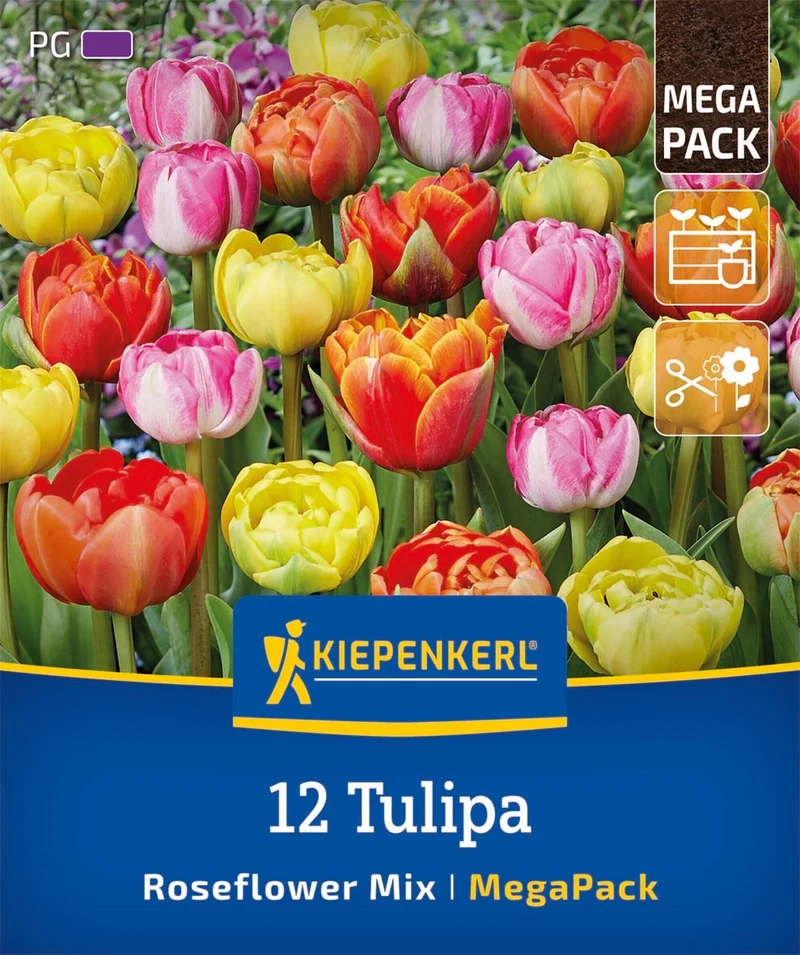 Kiepenkerl Gefüllte späte Tulpen "Roseflower Mix", Mega-Pack