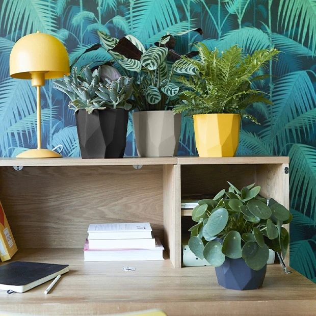 Elho Blumentopf B.for rock living schwarz