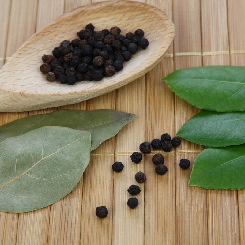 Bio-Lorbeer Gewürzlorbeer