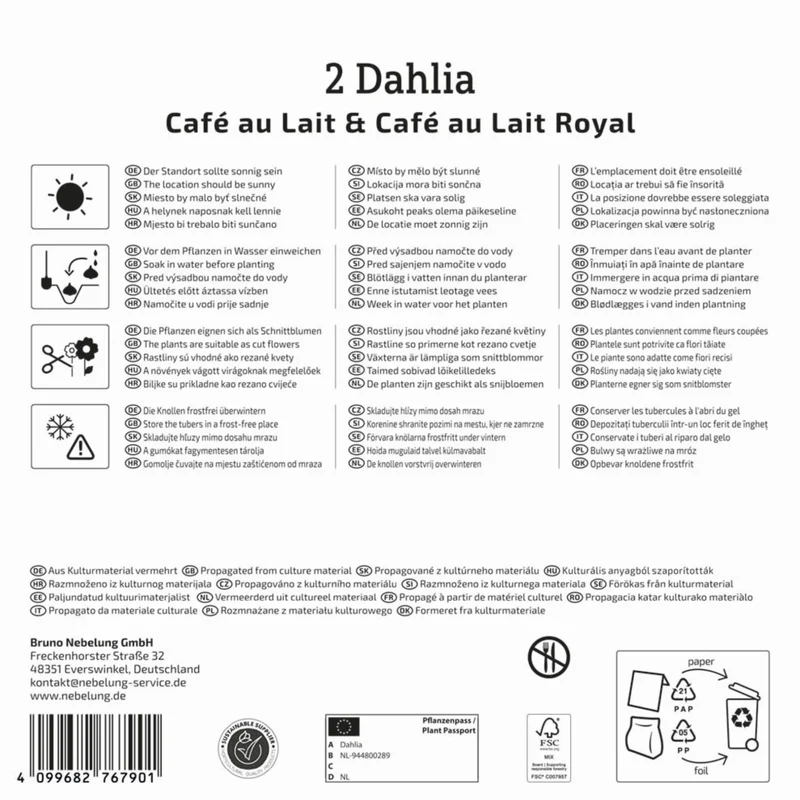 Kiepenkerl Dahlien Duo
