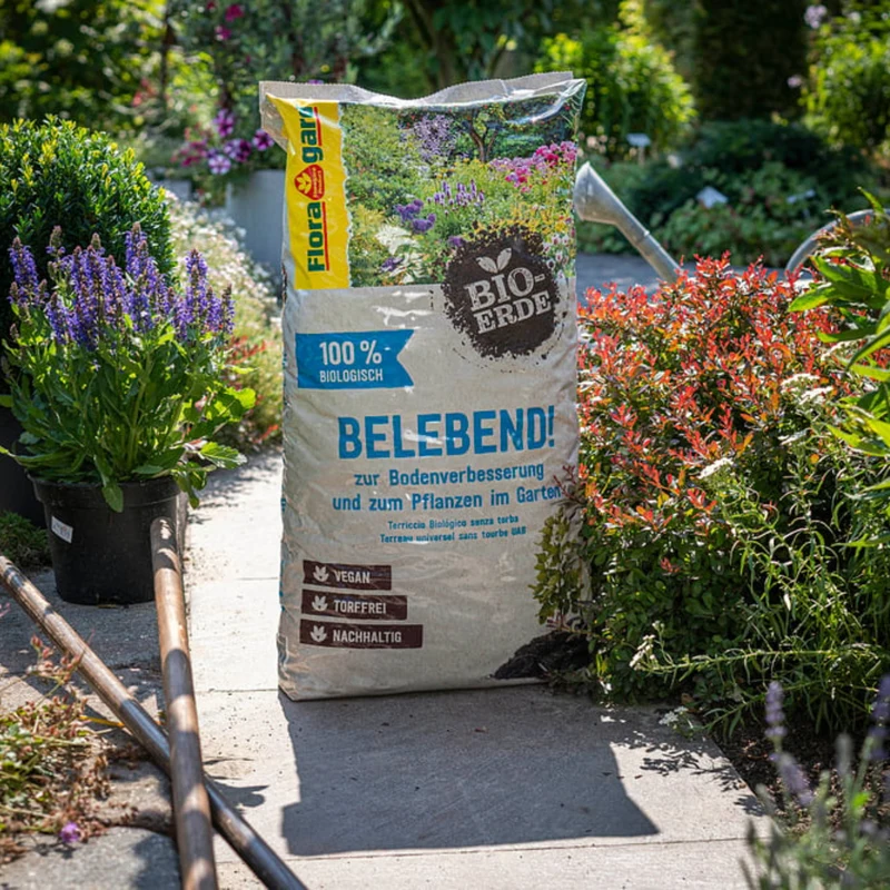 Floragard Bio Erde Belebend, torffrei