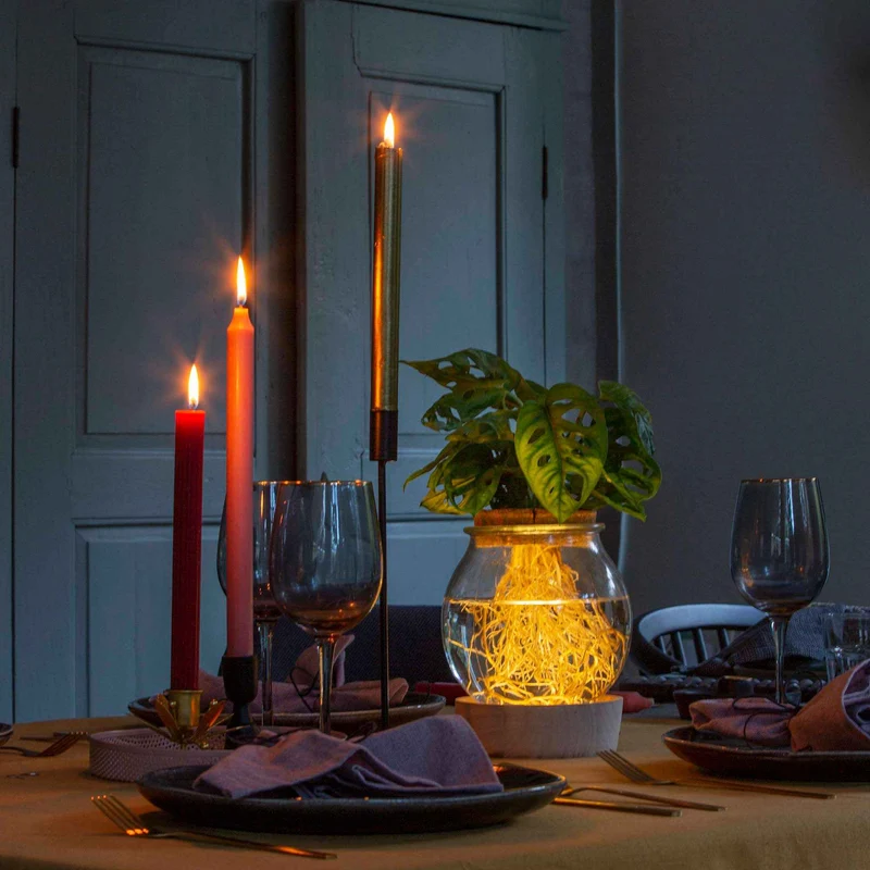 Monstera im Kugelglas mit LED-Beleuchtung - Hydroponik