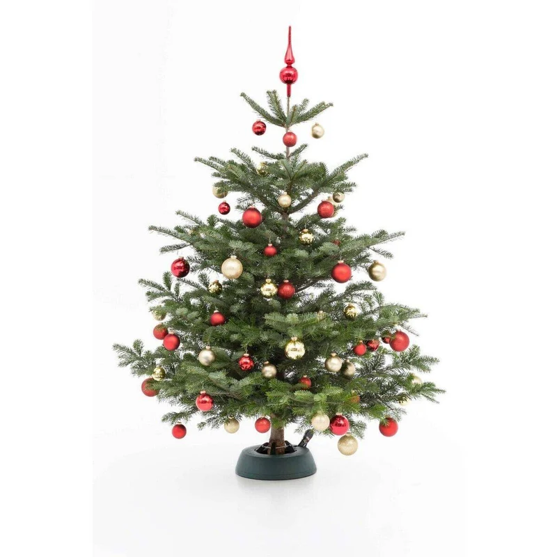 Weihnachtsbaum Nordmanntanne M | ca. 125 - 150 cm