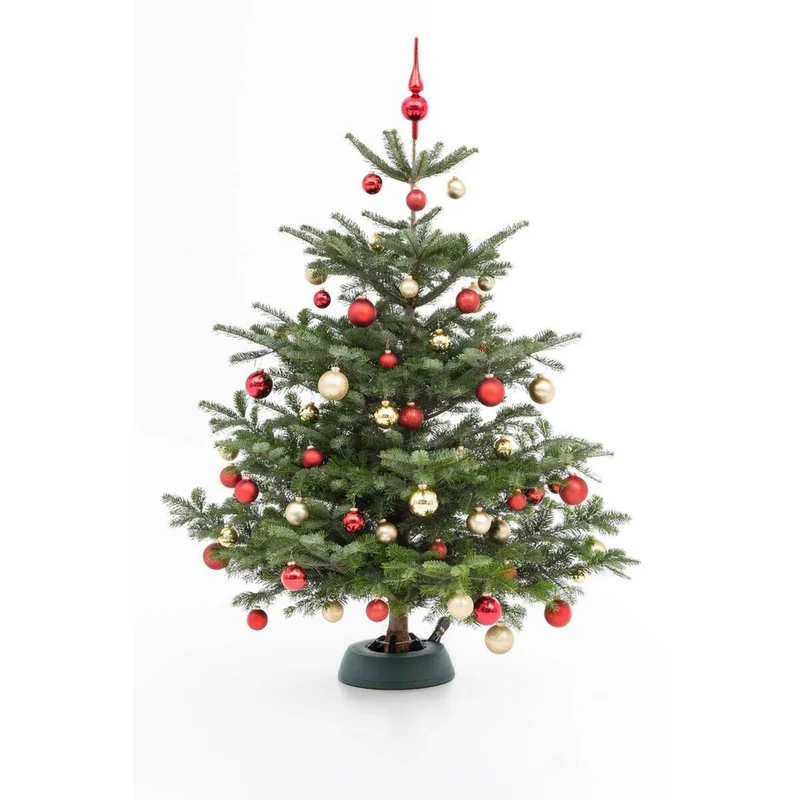 Weihnachtsbaum Nordmanntanne L | ca. 155 - 175 cm