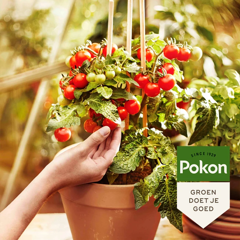 Pokon Bio Gemüsegartenerde