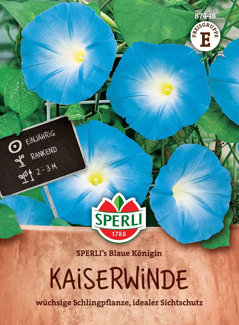 SPERLI Kaiserwinde-Samen 'Blaue Königin'